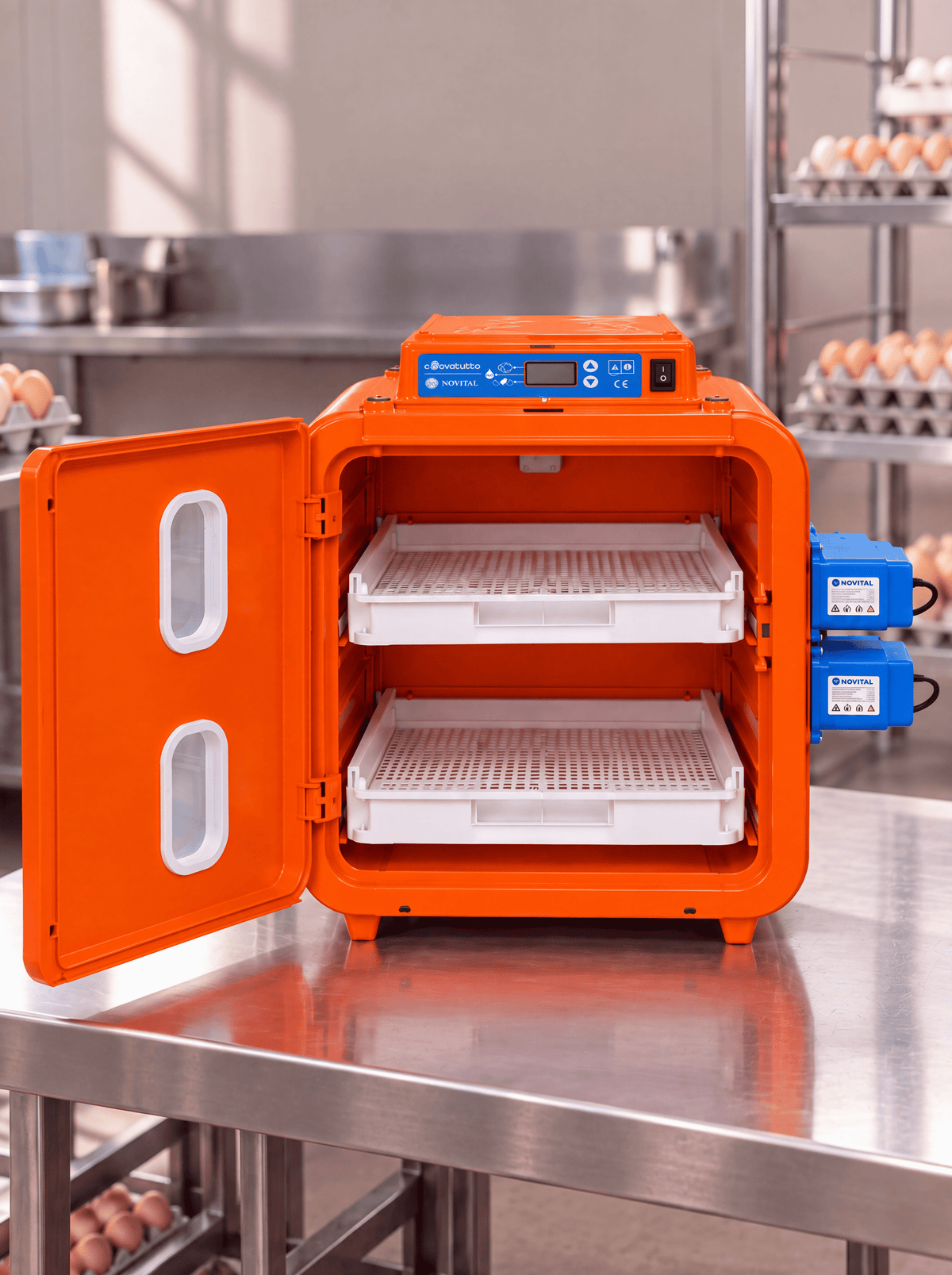 Egg Incubator