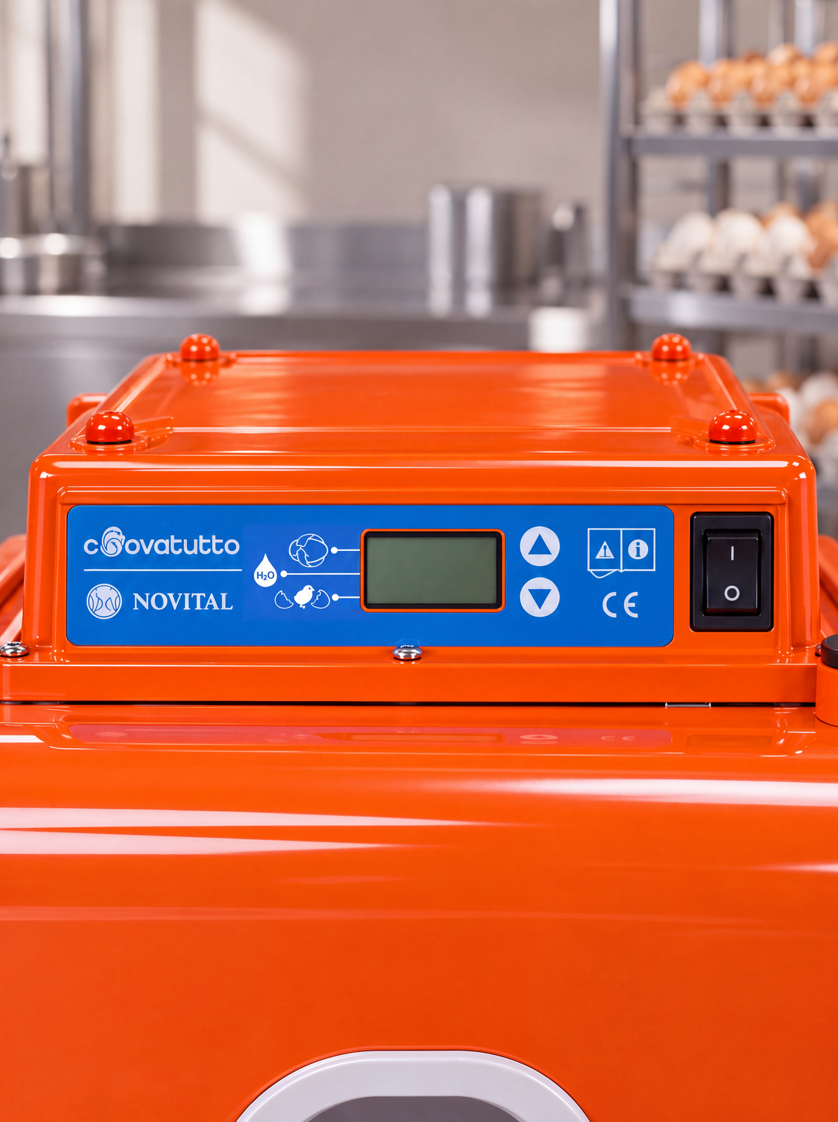 Egg Incubator