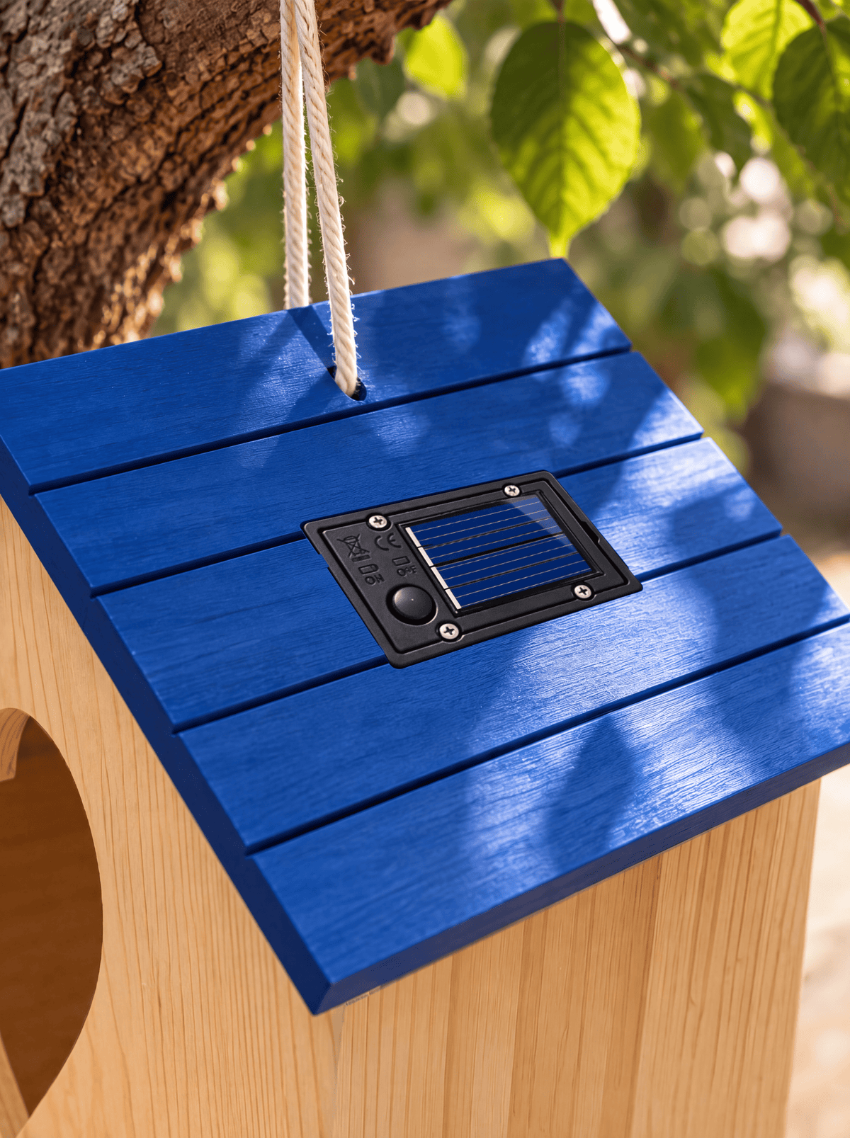 Bird House