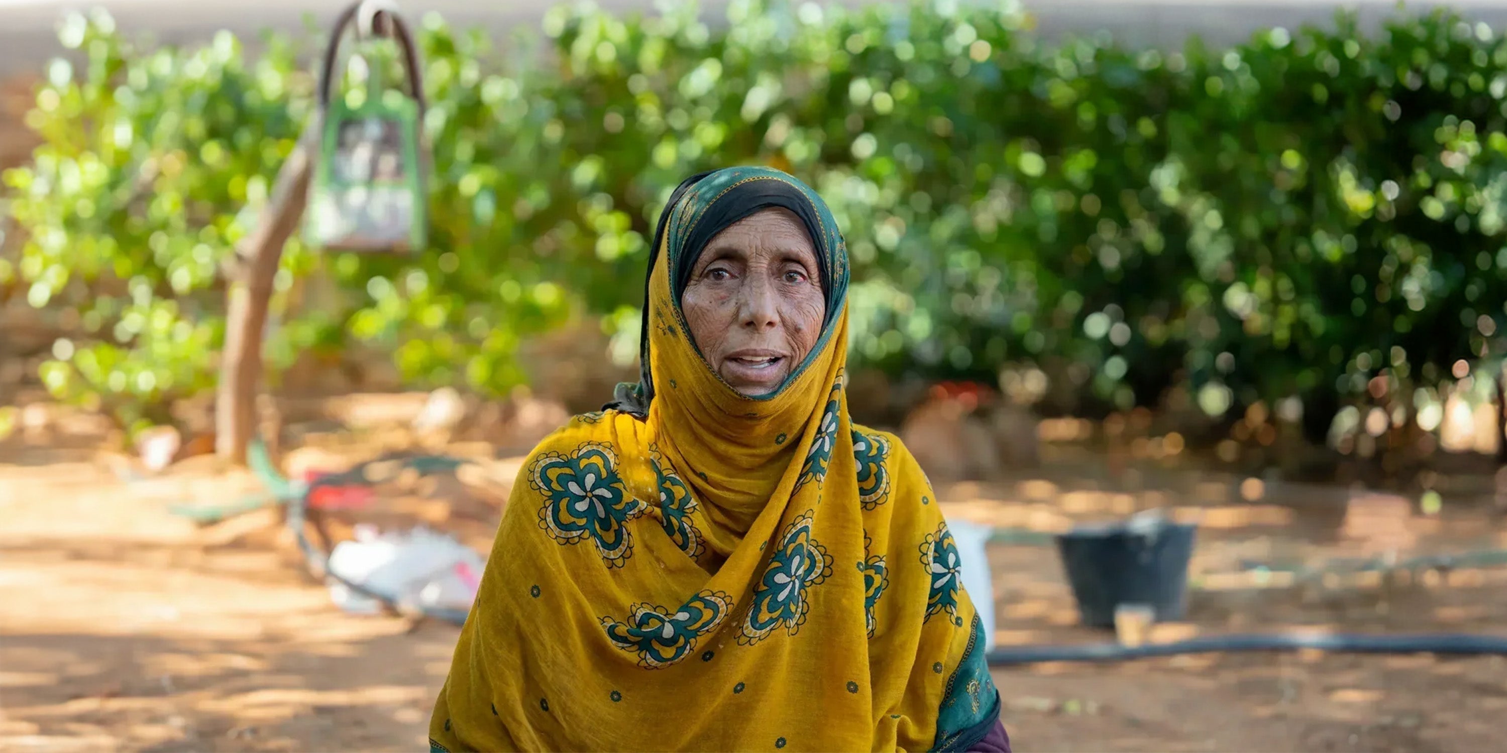 Mona Abu Bakr – Socotra