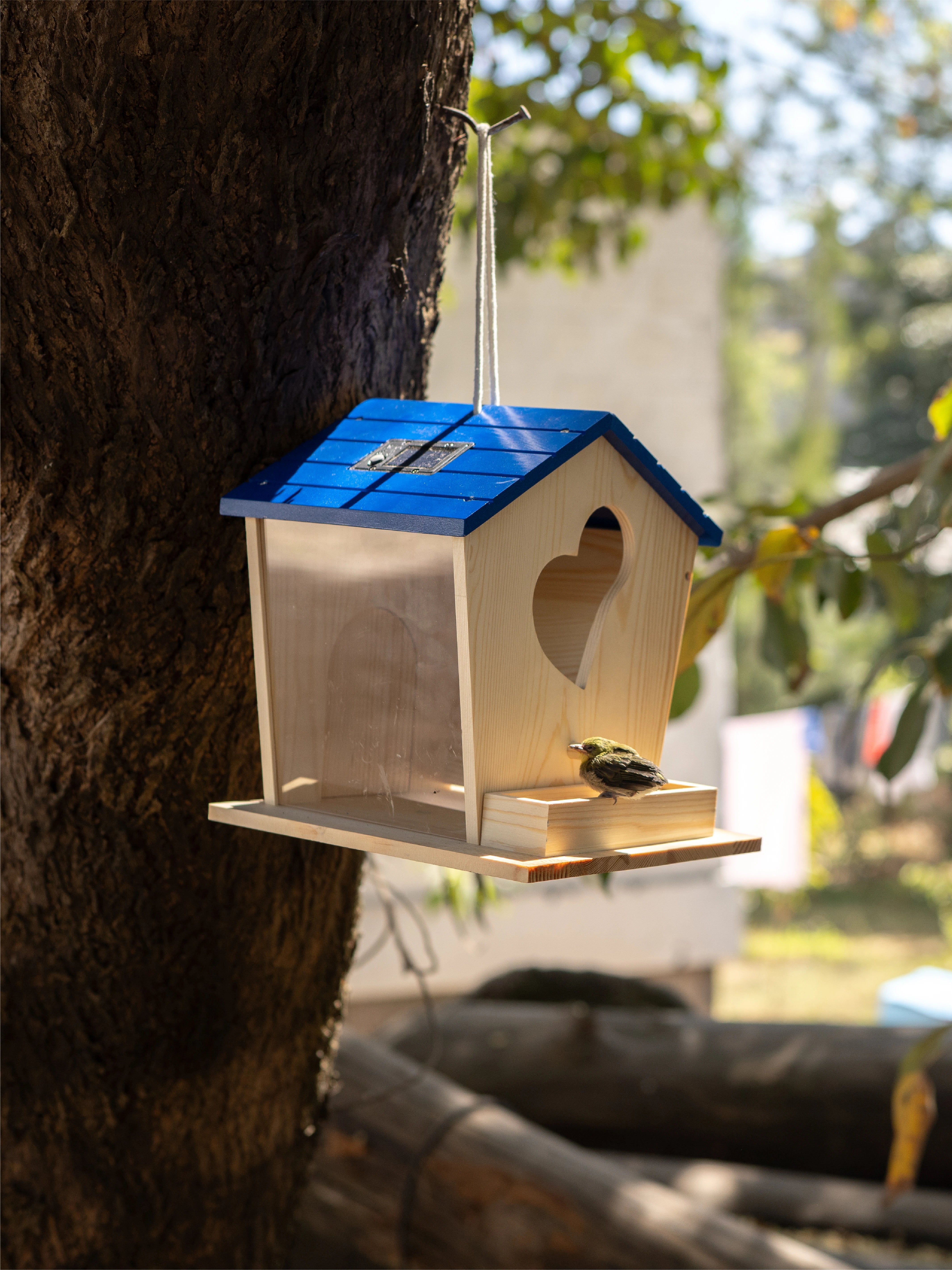 Bird House