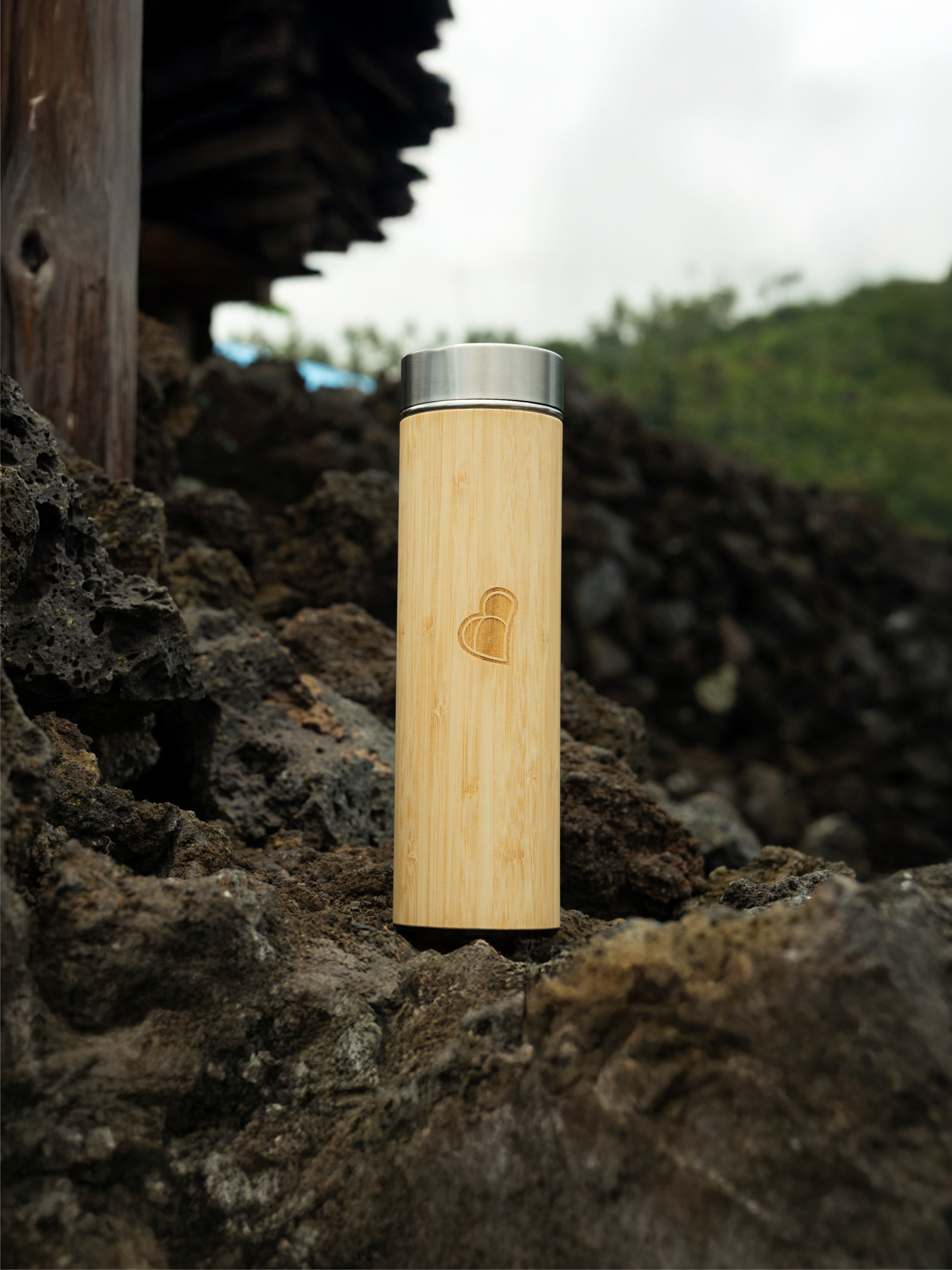 Thermos Bottle