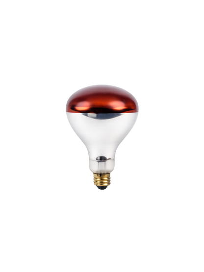 Red Heat Lamp