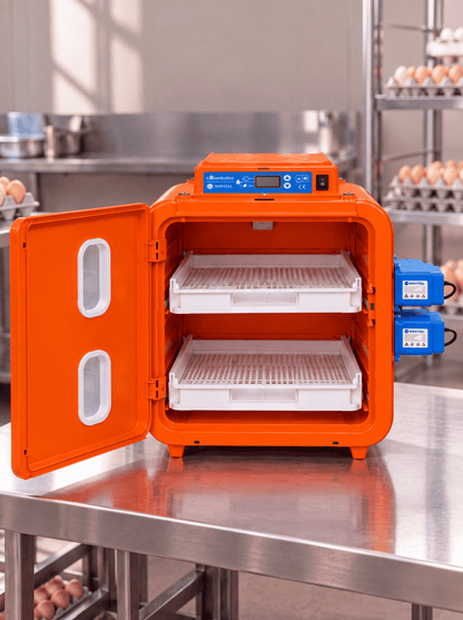 Egg Incubator