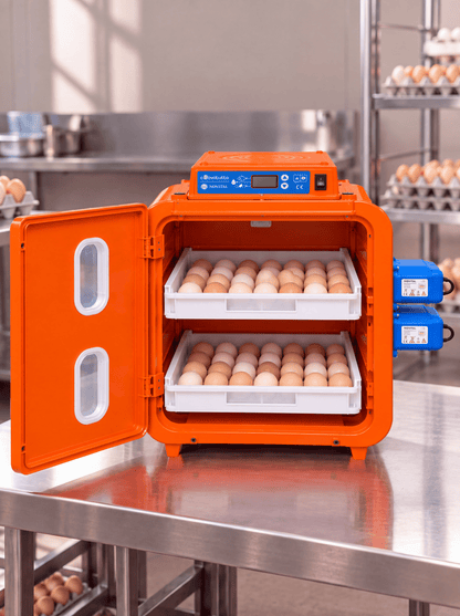 Egg Incubator